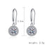 Sterling Silver Round Moissanite Zircon Hook Earrings