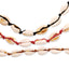 Bohemian Seashell Anklet for Women