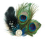 Women's Elegant Peacock Feather Hair Clip with Rhinestone Headband Accessory