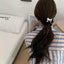 Women's Bow Knot Elastic Hair Tie Accessory