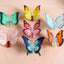 Women's Elegant Butterfly Acetate Hair Claw Clip