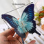 Women's Elegant Butterfly Acetate Hair Claw Clip