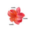 Women's Gradient Flower Hair Claw Clip - Korean Style Colorful Plastic Hair Accessory