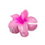 Women's Gradient Flower Hair Claw Clip - Korean Style Colorful Plastic Hair Accessory