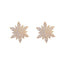 1 Pair Elegant Lady Heart Shape Flower Plating Inlay Alloy Zircon Earrings