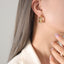 Artistic Geometric U-Shaped Titanium Steel Zircon Twist Earrings - Minimalist Gold-Plated Stainless Steel Jewelry
