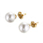 Fashion Freshwater Pearl Titanium Steel Earrings 925 Sterling Silver Hypoallergenic Studs