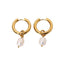 Stainless Steel Pearl Plated Drop Earrings with 18k Gold Freshwater Pearl Pendant