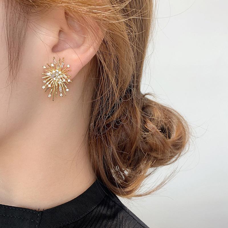 Firework Zircon Crystal Stud Earrings for Women S925 Silver Needle