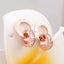 Korean Small Square Diamond Roman Numeral Double Ring Titanium Steel Earrings