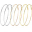 Minimalist Gold Plated Titanium Steel Hoop Earrings