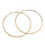 Simple Style Stainless Steel Hoop Earrings for Women