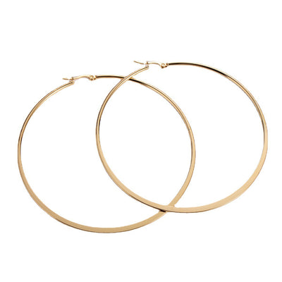 Simple Style Stainless Steel Hoop Earrings for Women