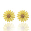 Sweet Daisy Flowers Stud Earrings NHPF145266